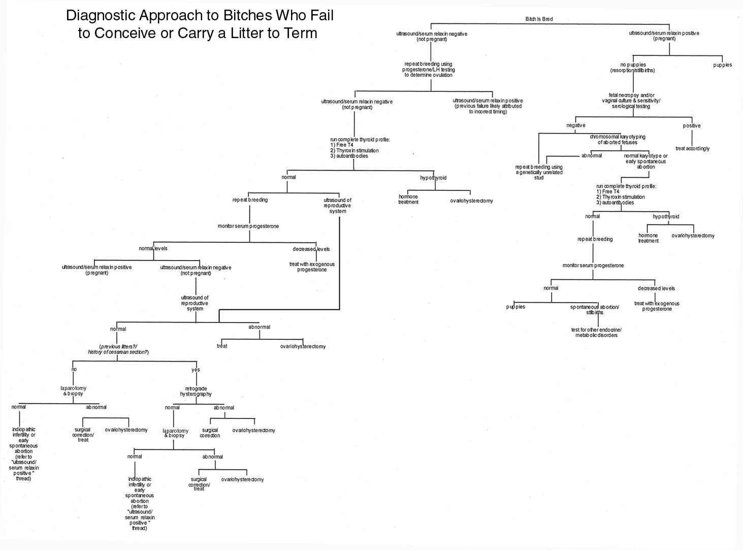 diagnostic1.jpg (75198 bytes)