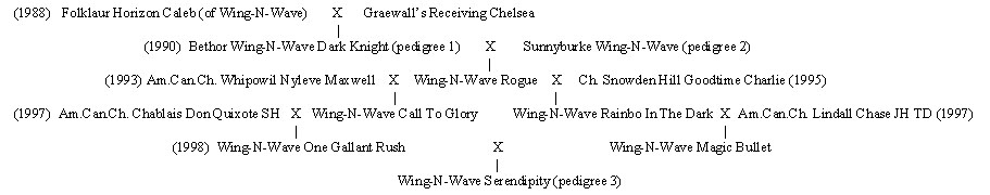 famtree.jpg (40876 bytes)