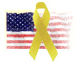 flag_ribbon.jpg (11976 bytes)