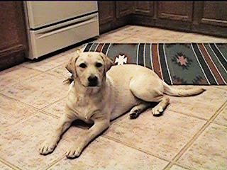 sam.jpg (75538 bytes)